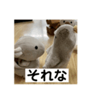 ふーちーさんスタンプ（個別スタンプ：8）