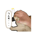 小太郎の叫び（個別スタンプ：22）
