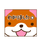 柴犬そらこ【敬語ver.】2（個別スタンプ：9）