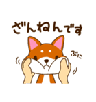 柴犬そらこ【敬語ver.】2（個別スタンプ：12）