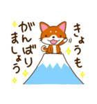 柴犬そらこ【敬語ver.】2（個別スタンプ：23）