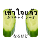 きゅうり です 野菜 キュウリ タイ語（個別スタンプ：23）