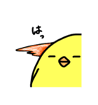 かわいいぴよたろう（個別スタンプ：13）