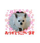 まめたろうと仲間たち（個別スタンプ：1）