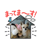 まめたろうと仲間たち（個別スタンプ：3）