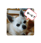 まめたろうと仲間たち（個別スタンプ：6）