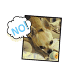 まめたろうと仲間たち（個別スタンプ：13）