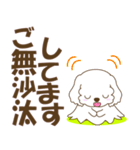 わんこ日和(マルチーズ)‐敬語‐（個別スタンプ：37）