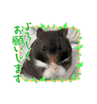 可愛いちびこ達（個別スタンプ：4）
