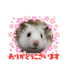 可愛いちびこ達（個別スタンプ：5）