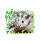 可愛いちびこ達（個別スタンプ：9）