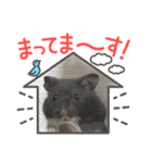 可愛いちびこ達（個別スタンプ：16）