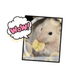 可愛いちびこ達（個別スタンプ：19）
