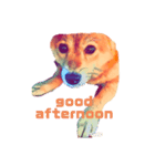 柴犬の居る暮らし（個別スタンプ：2）