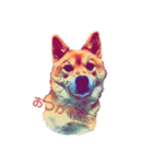 柴犬の居る暮らし（個別スタンプ：4）