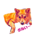 柴犬の居る暮らし（個別スタンプ：7）