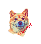 柴犬の居る暮らし（個別スタンプ：10）