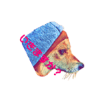柴犬の居る暮らし（個別スタンプ：11）