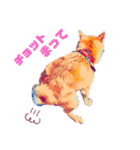 柴犬の居る暮らし（個別スタンプ：20）
