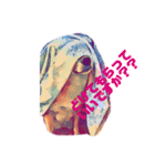 柴犬の居る暮らし（個別スタンプ：26）