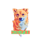柴犬の居る暮らし（個別スタンプ：35）