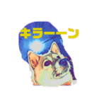 柴犬の居る暮らし（個別スタンプ：38）