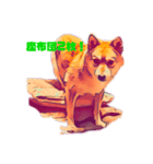 柴犬の居る暮らし（個別スタンプ：39）