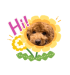 I LOVEマロン❤︎（個別スタンプ：5）