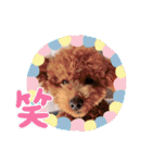 I LOVEマロン❤︎（個別スタンプ：7）