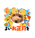 I LOVEマロン❤︎（個別スタンプ：10）