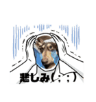 カラスタンプU´•ﻌ•`U（個別スタンプ：5）