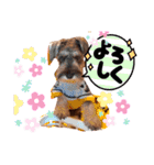 テクテクカールくん（個別スタンプ：6）