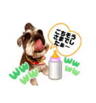 テクテクカールくん（個別スタンプ：7）
