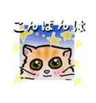 にゃんこ DE 挨拶 ★ えぶりでぃ（個別スタンプ：3）