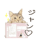 猫のプロポーズ♡スタンプ2（個別スタンプ：15）