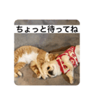 ハルむーと仲間たち（個別スタンプ：19）