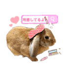 うさぎのマロン♡たまにショコラ♡（個別スタンプ：9）