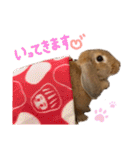 うさぎのマロン♡たまにショコラ♡（個別スタンプ：12）