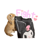 うさぎのマロン♡たまにショコラ♡（個別スタンプ：13）