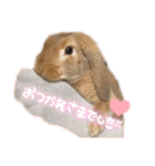 うさぎのマロン♡たまにショコラ♡（個別スタンプ：15）