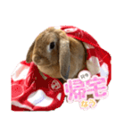 うさぎのマロン♡たまにショコラ♡（個別スタンプ：17）
