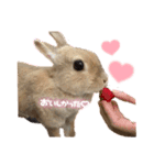 うさぎのマロン♡たまにショコラ♡（個別スタンプ：19）