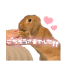 うさぎのマロン♡たまにショコラ♡（個別スタンプ：21）