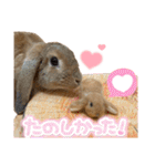 うさぎのマロン♡たまにショコラ♡（個別スタンプ：23）