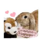 うさぎのマロン♡たまにショコラ♡（個別スタンプ：24）