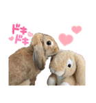 うさぎのマロン♡たまにショコラ♡（個別スタンプ：27）