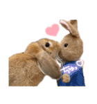 うさぎのマロン♡たまにショコラ♡（個別スタンプ：28）