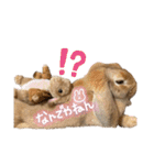 うさぎのマロン♡たまにショコラ♡（個別スタンプ：29）