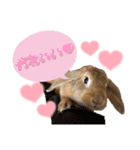うさぎのマロン♡たまにショコラ♡（個別スタンプ：30）