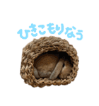 うさぎのマロン♡たまにショコラ♡（個別スタンプ：32）